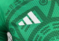 2026 Mexico Home - Image 4